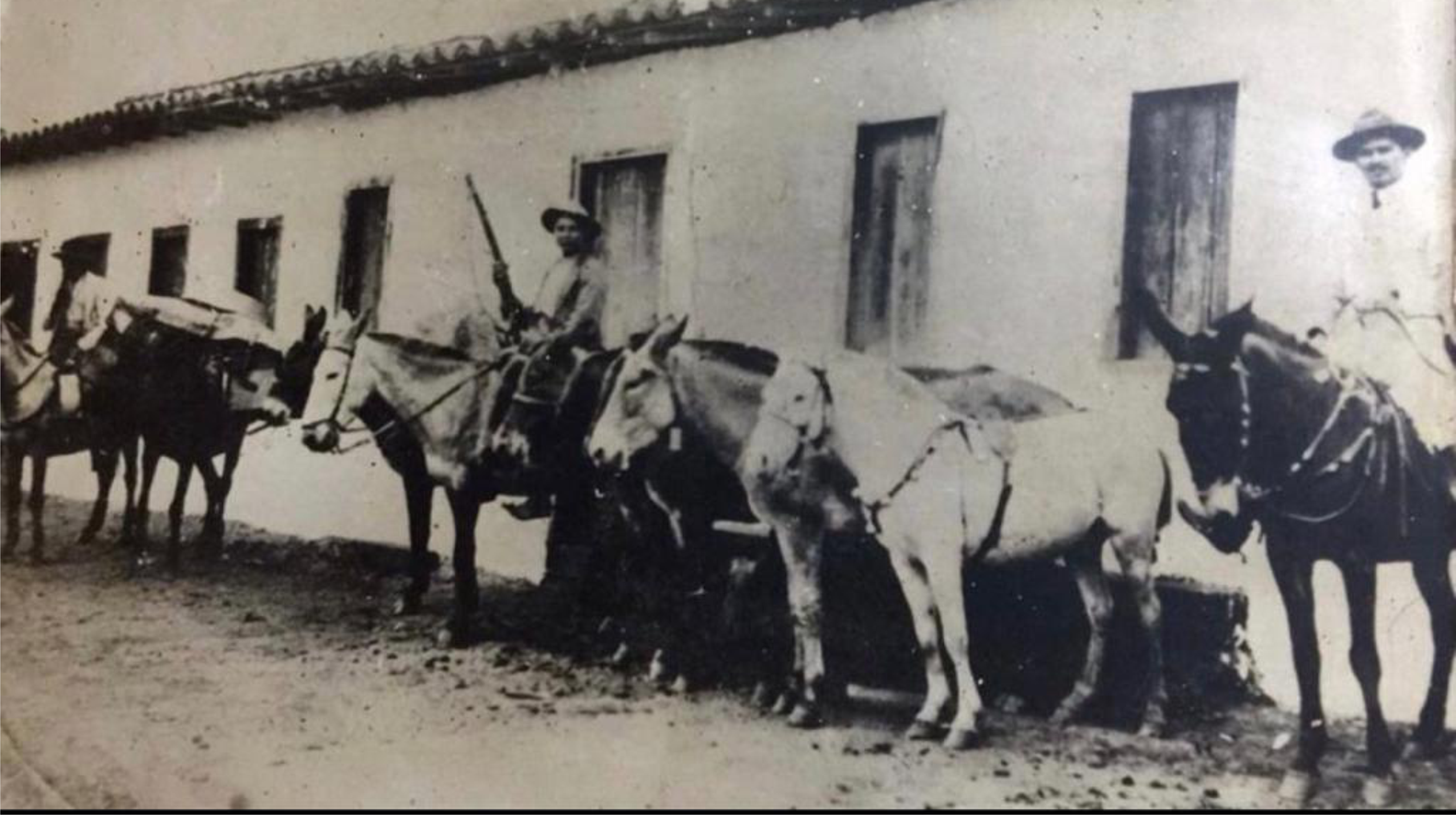 Espírito empreendedor, como ia disse linhas atrás, Américo Martins tinha iniciativas arrojadas. Foi o primeiro a adquirir um caminhão "Chevrolet", recebido na Vila, então, com discurso e música, como um acontecimento marcante no lugar. Foi um dos grandes fazendeiros da região, explorando, em larga escala, o comércio de gado.