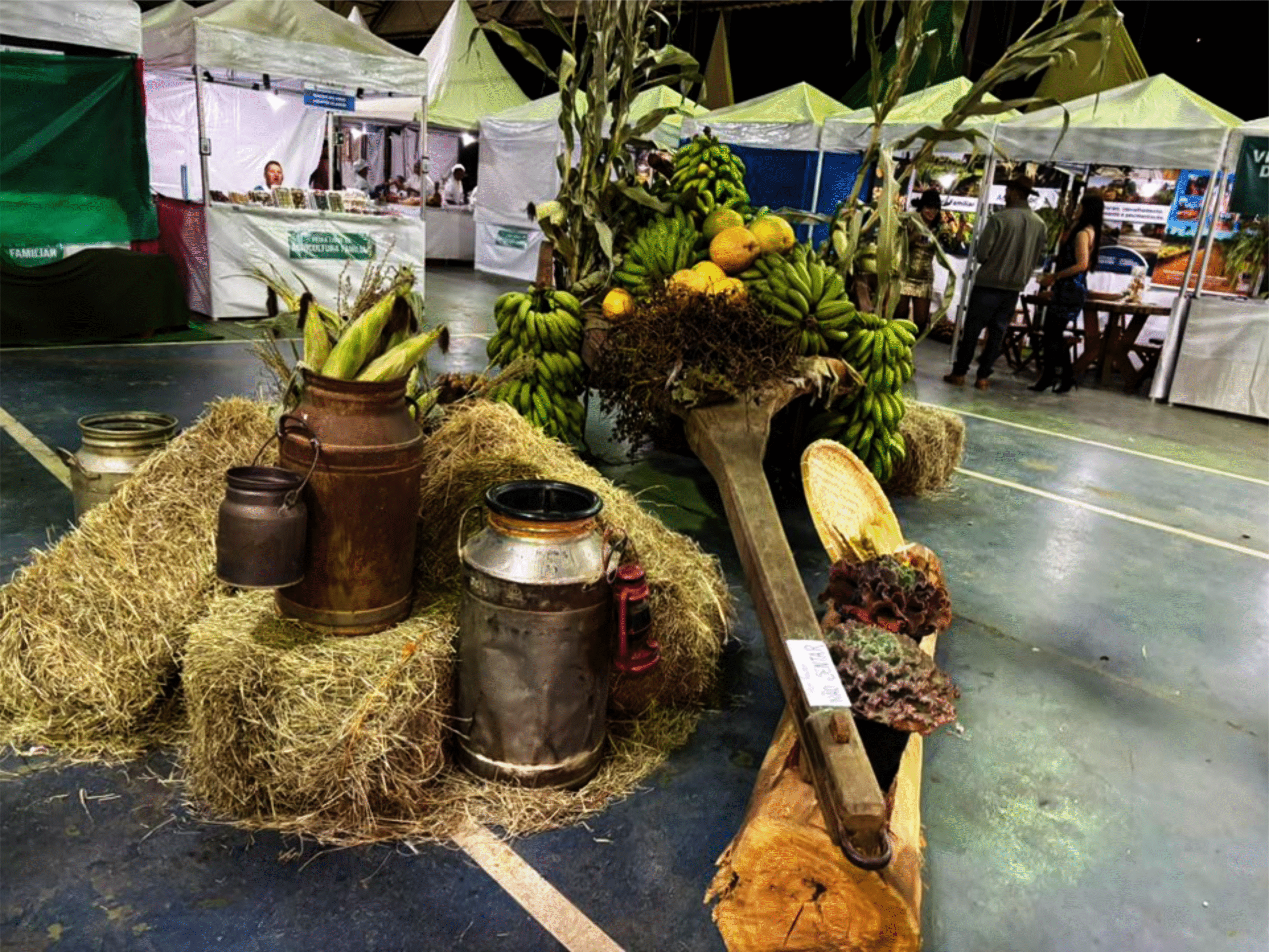 A Feira da Agricultura Familiar, uma das grandes atrações da Expomontes 2025