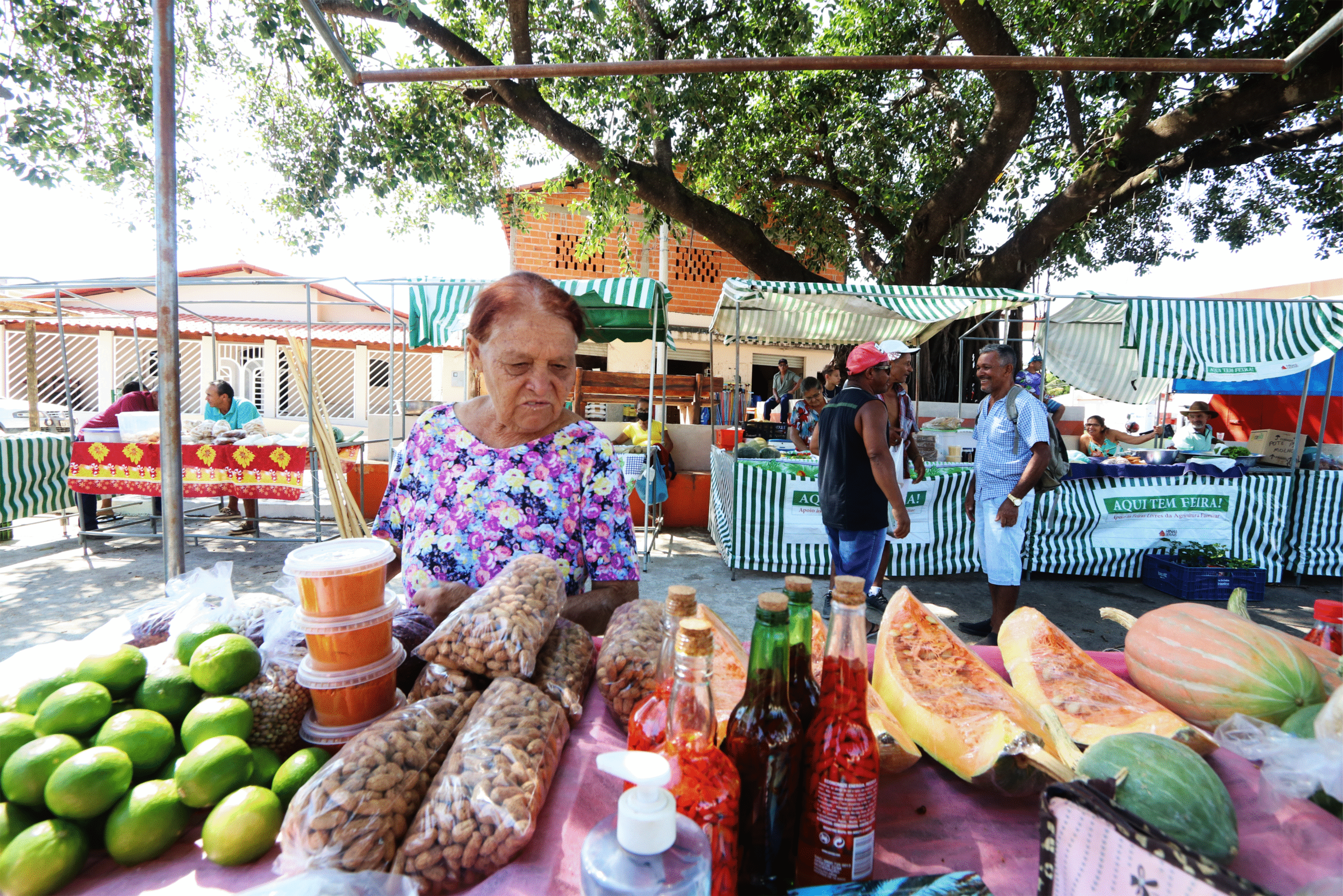 A feira da agricultura familiar de Lontra acontece todos os sábados e conta com a participação de pouco mais de 20 agricultores cadastrados