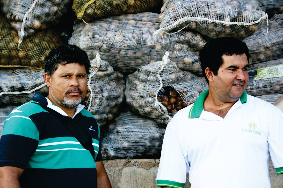 Esse trabalho, em parceria com a Associação dos Pequenos Produtores Rurais de Riacho D’Anta e Adjacências, buscava incentivar a produção e o beneficiamento sustentável do fruto na microbacia do rio Riachão e região. Hoje, ver que aquela semente plantada há quase duas décadas desabrocha em um projeto global, é para mim motivo de satisfação e orgulho.