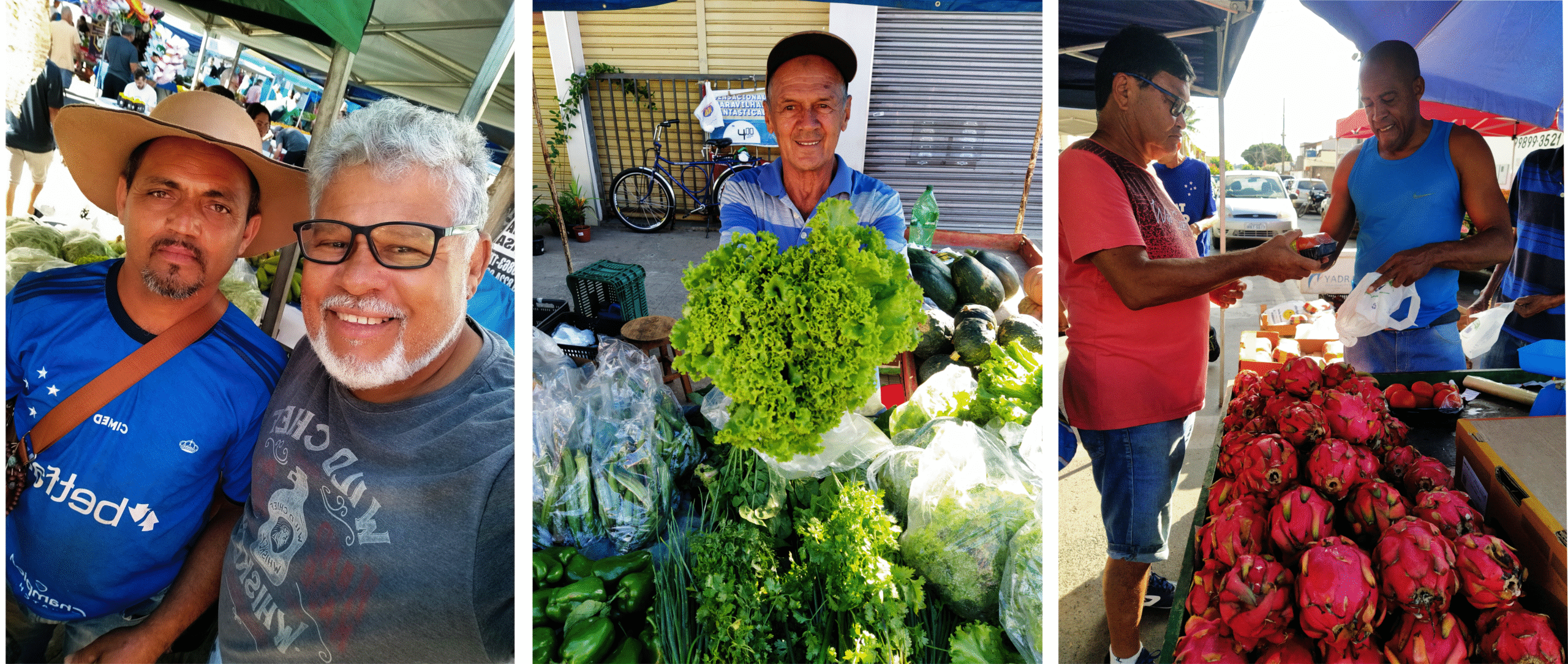 Que possamos sempre reconhecer o quanto eles são essenciais — não apenas para a nossa alimentação, mas para a identidade e a vida do nosso sertão.