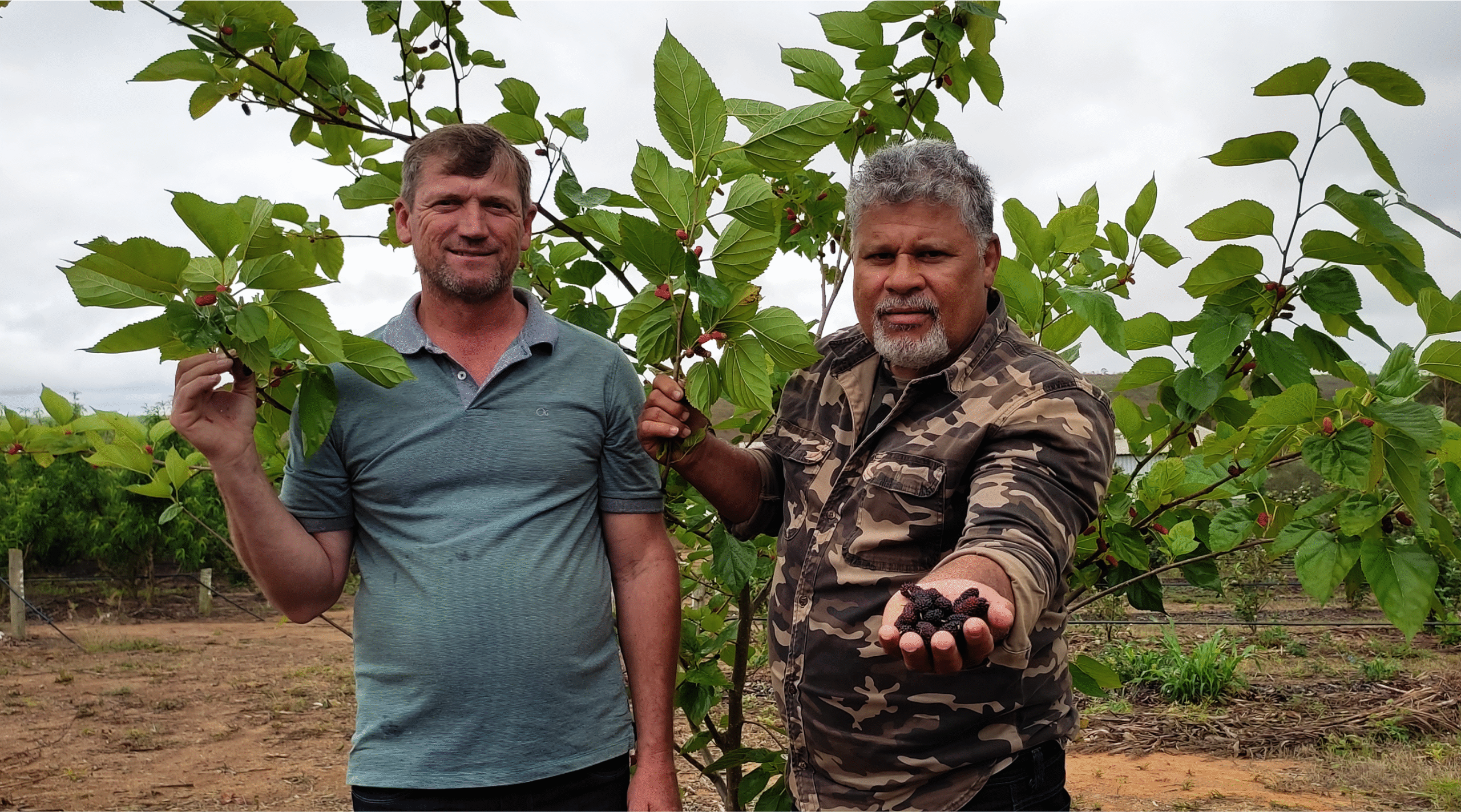 Mais do que plantar frutas, estamos cultivando futuro. Emprego, renda, autoestima e esperança. Porque o sertanejo sabe esperar, sabe lutar — só precisa de oportunidade.