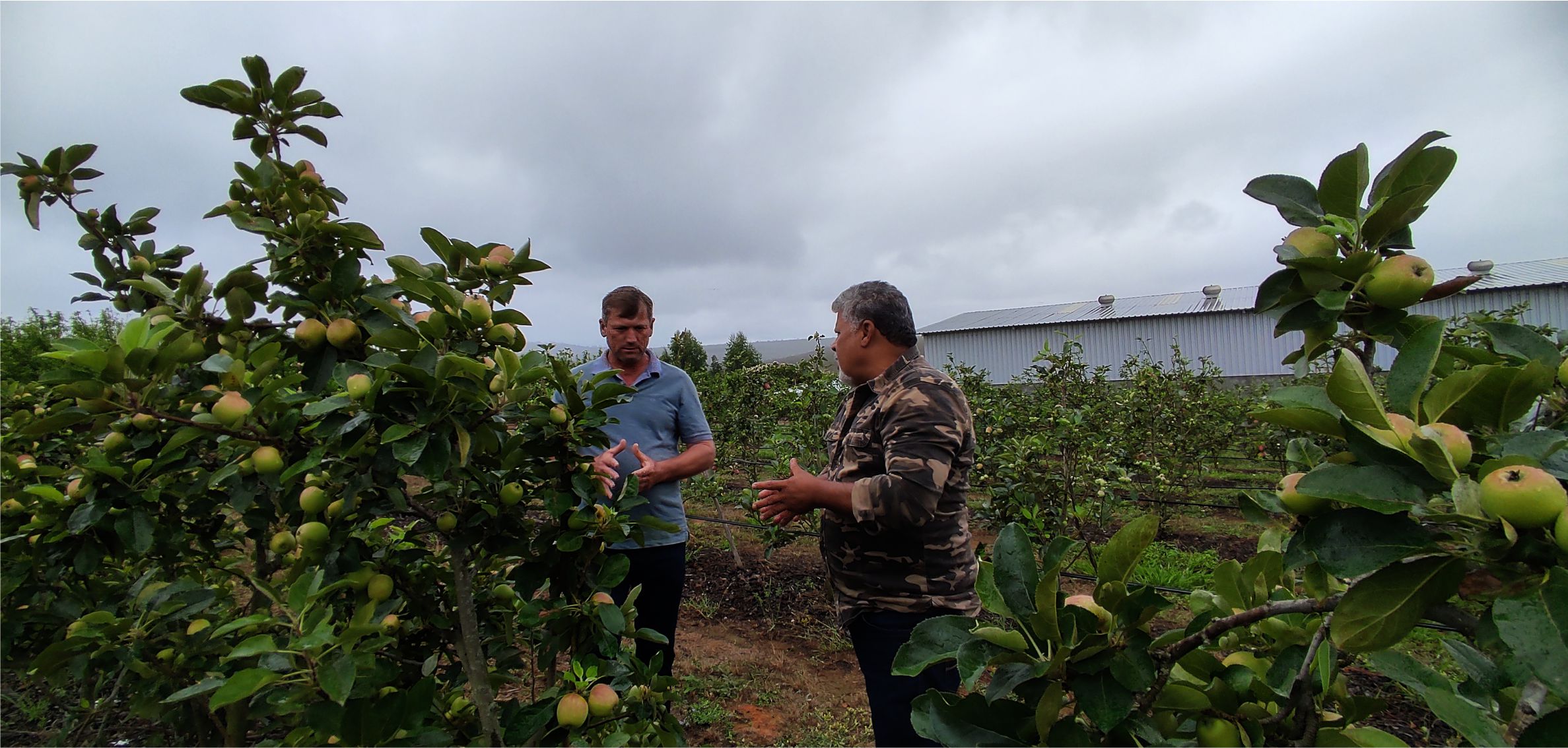 Recentemente, acompanhei de perto um desses trabalhos na comunidade de Lagoinha, zona rural de Montes Claros. Ali, agricultores atentos ouviram o produtor explicar desde o preparo do solo até a colheita, sempre com exemplos práticos e entusiasmo contagiante.