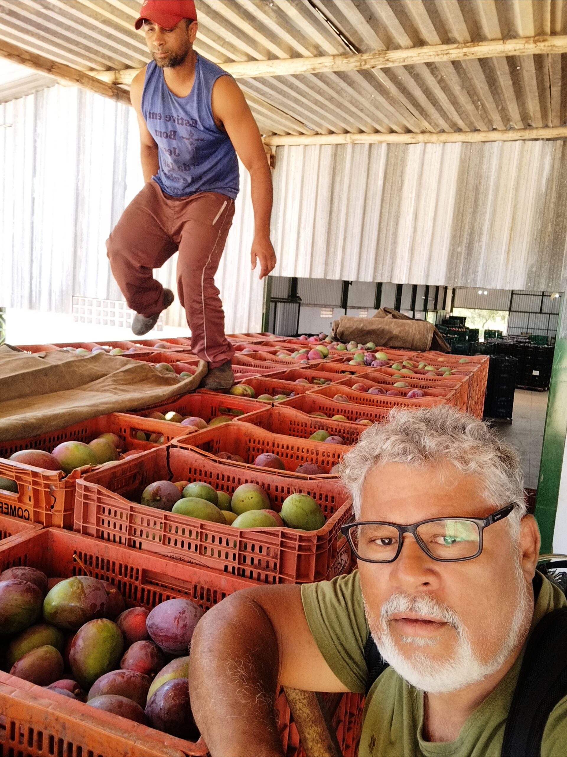 Deixo aqui registrada minha indignação. Isso, para mim, não passa de uma jogada política disfarçada de precaução ambiental. Uma típica artimanha de burocratas e agentes públicos que parecem querer criar um problema para, depois, oferecer a solução — sempre com um preço embutido, geralmente pago pelo setor produtivo.