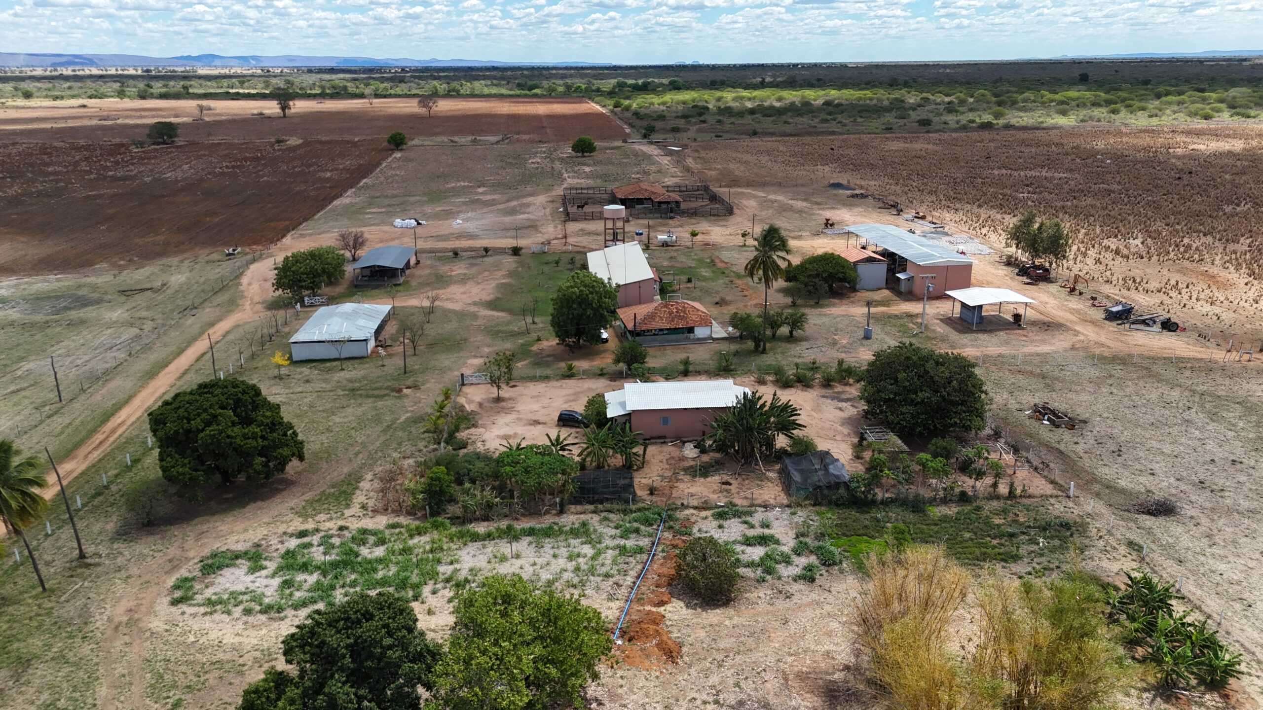 Recentemente, acompanhei de perto um trabalho de bastidores que, pouco a pouco, vem redesenhando o mapa do desenvolvimento econômico do Norte de Minas. Foram cinco dias de intensa jornada pelas estradas do sertão, percorrendo mais de mil quilômetros entre compromissos técnicos, reuniões com produtores e encontros com lideranças políticas e empresariais.