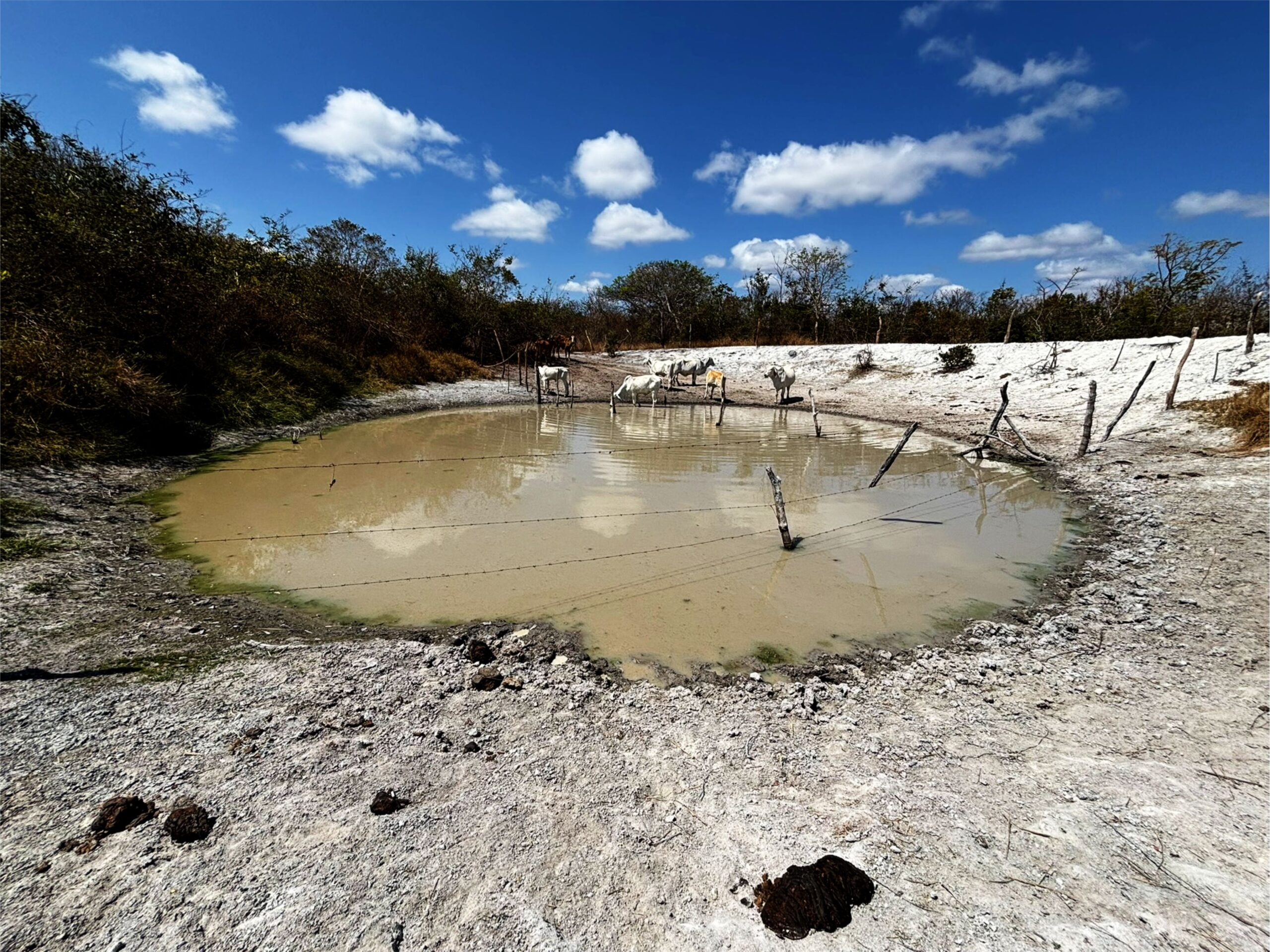 Mesmo com as primeiras nuvens anunciando a chegada da temporada chuvosa, ainda são visíveis os resquícios da seca que se estendeu por quase meio ano. O chão rachado, os córregos silenciados e a vegetação crestada pela falta d’água contam uma história antiga — a de um povo que resiste entre o calor e a esperança.