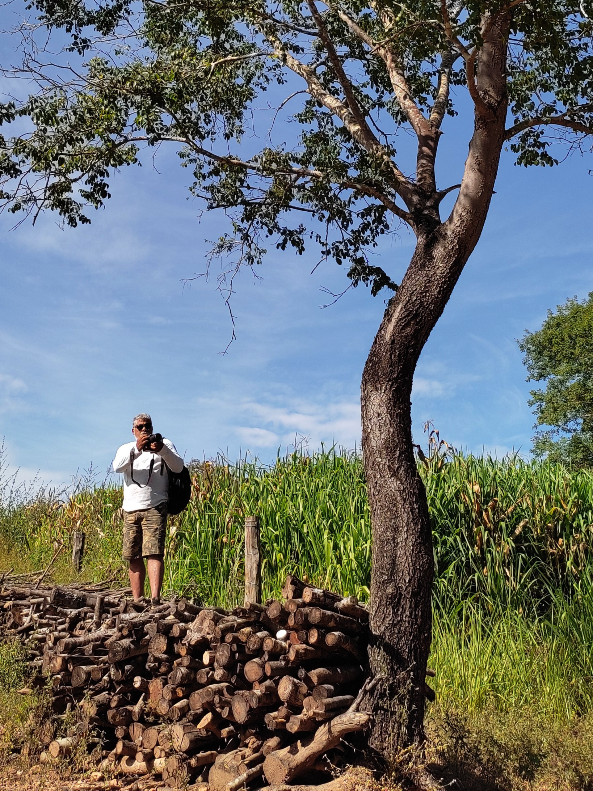 Preservar não é impedir o povo de produzir, crescer e decidir. Cultura não é aprisionar ninguém ao passado. O verdadeiro desenvolvimento sustentável nasce quando o geraizeiro, o sertanejo, o caiçara deixam de ser objeto de discurso e passam a ser sujeitos do processo.