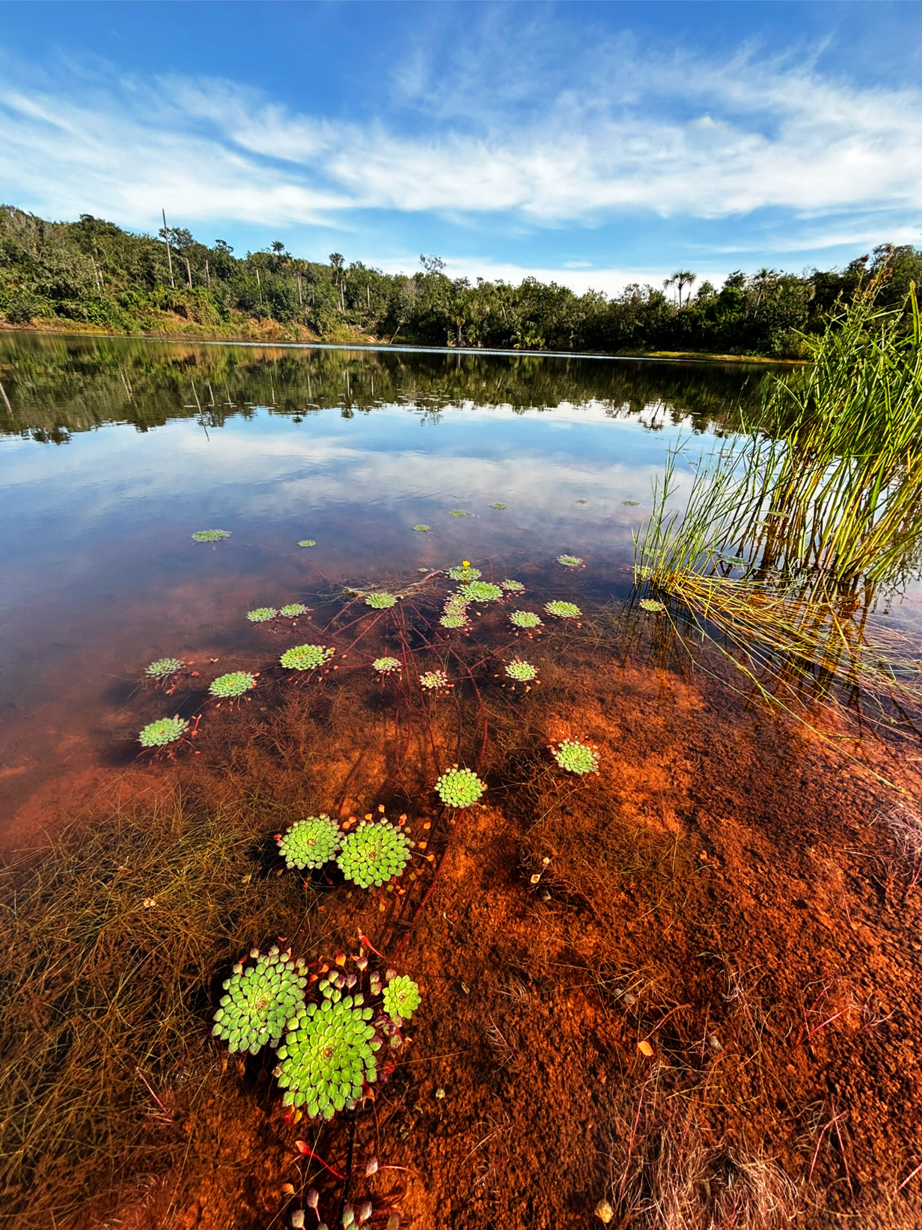 O que mais me chamou a atenção foi o contraste da paisagem. Embora seja uma região marcada pela aridez característica do sertão, o território preserva diversas lagoas e áreas úmidas que surgem quase como verdadeiros oásis em meio à vastidão da vegetação nativa. Trata-se de uma área ainda muito pouco explorada e divulgada, que certamente guarda inúmeras riquezas naturais, históricas, arqueológicas e culturais à espera de serem descobertas, estudadas e compartilhadas com o mundo.