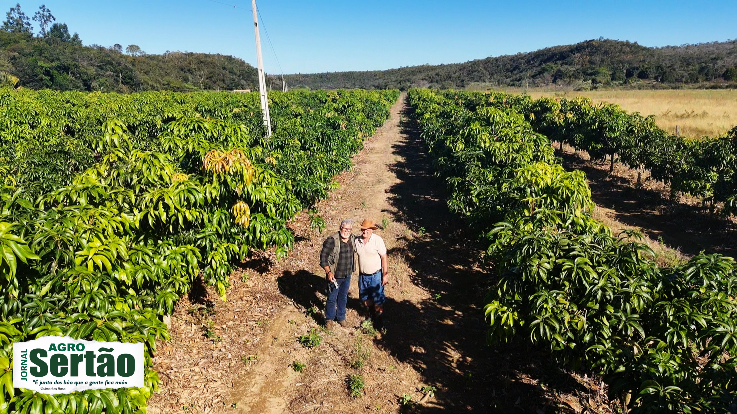 Enquanto se anunciava o fim do sertão, o Norte de Minas consolidou-se como importante produtor de frutas, café, eucalipto, sementes, carne, leite e produtos da agricultura familiar. Novos projetos de irrigação foram implantados, a fruticultura expandiu mercados, o turismo regional ganhou força, e inúmeras comunidades continuaram vivendo, produzindo e preservando seus territórios.
