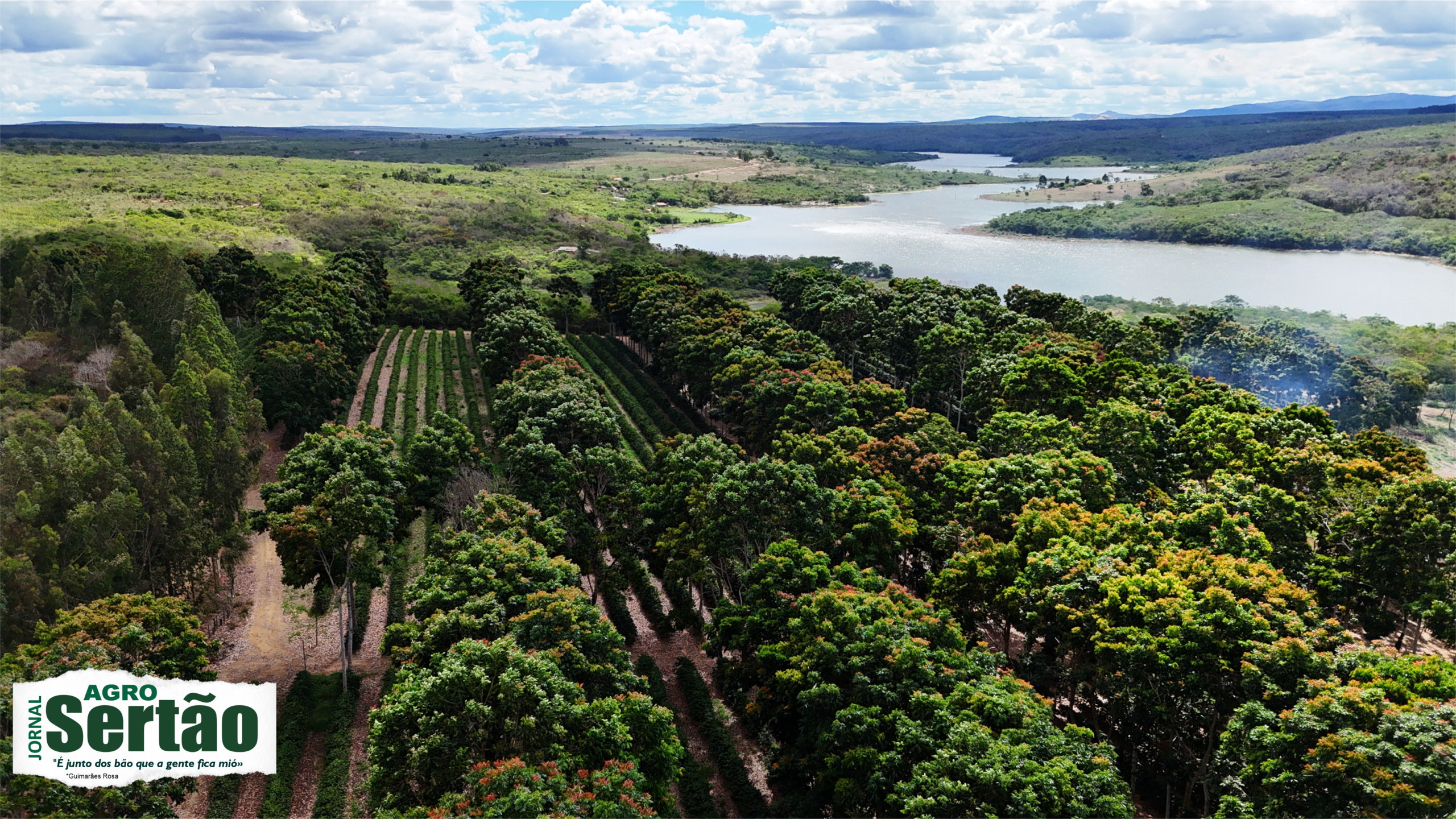 Continuei visitando comunidades rurais, acompanhando produtores, registrando nascentes, veredas, serras, áreas de cerrado, projetos de irrigação, unidades de conservação, plantações, lavouras e inúmeras iniciativas de desenvolvimento.