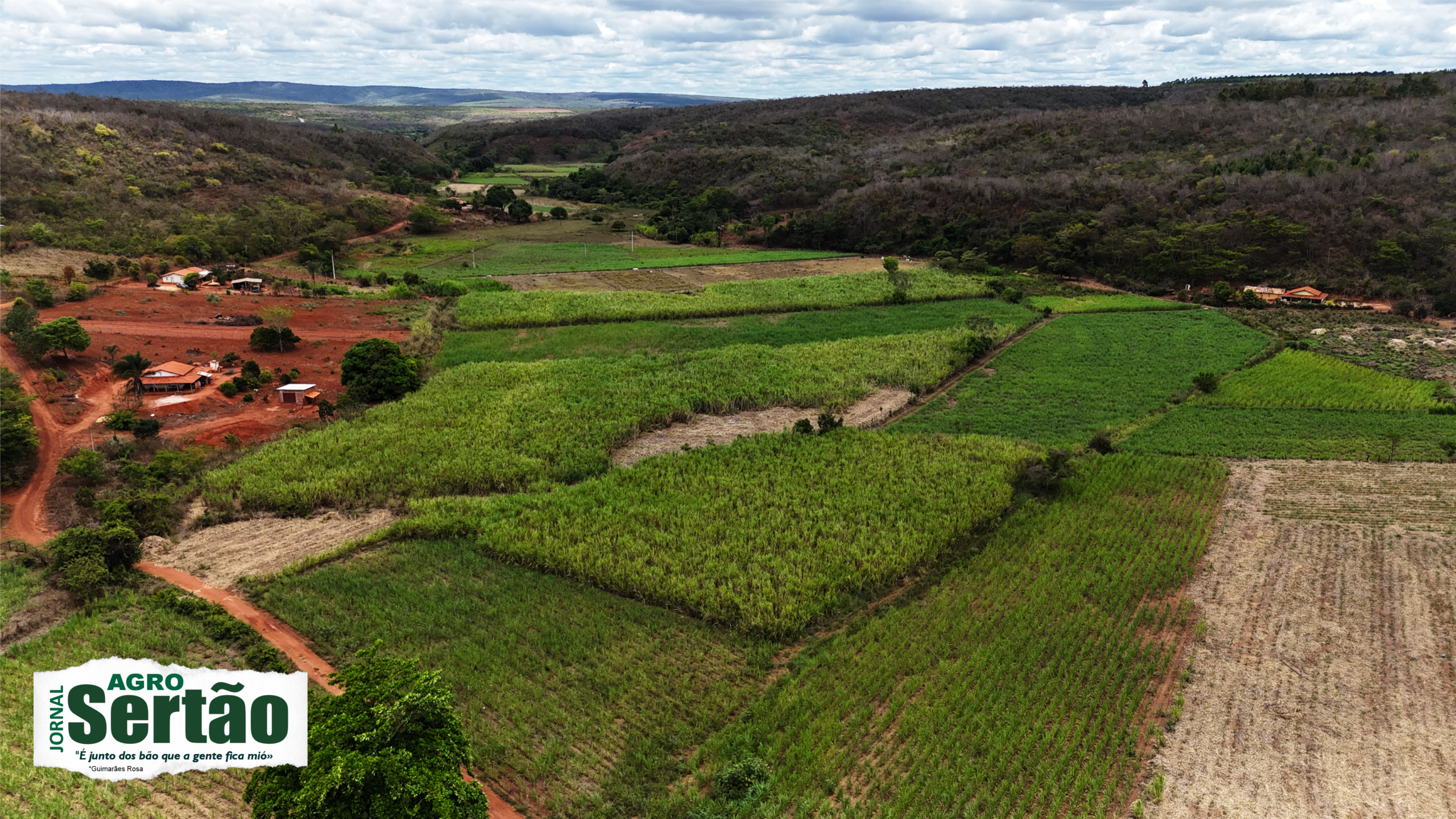 Continuei visitando comunidades rurais, acompanhando produtores, registrando nascentes, veredas, serras, áreas de cerrado, projetos de irrigação, unidades de conservação, plantações, lavouras e inúmeras iniciativas de desenvolvimento.
Hoje, olhando para trás, faço uma pergunta simples: onde está o deserto anunciado?