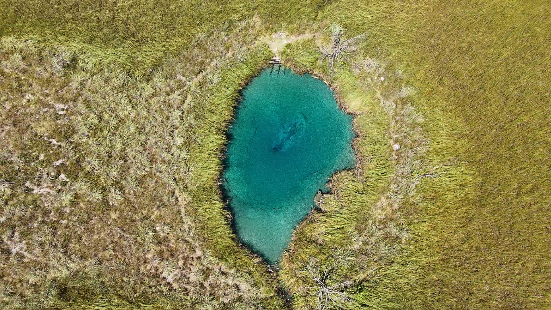 Em 1995 o rio Riachão secou pela primeira vez. A partir deste ano as captações de água na Lagoa Tiririca foram sendo substituídas por exploração de água subterrânea, com a instalação de poços tubulares às margens da Lagoa.