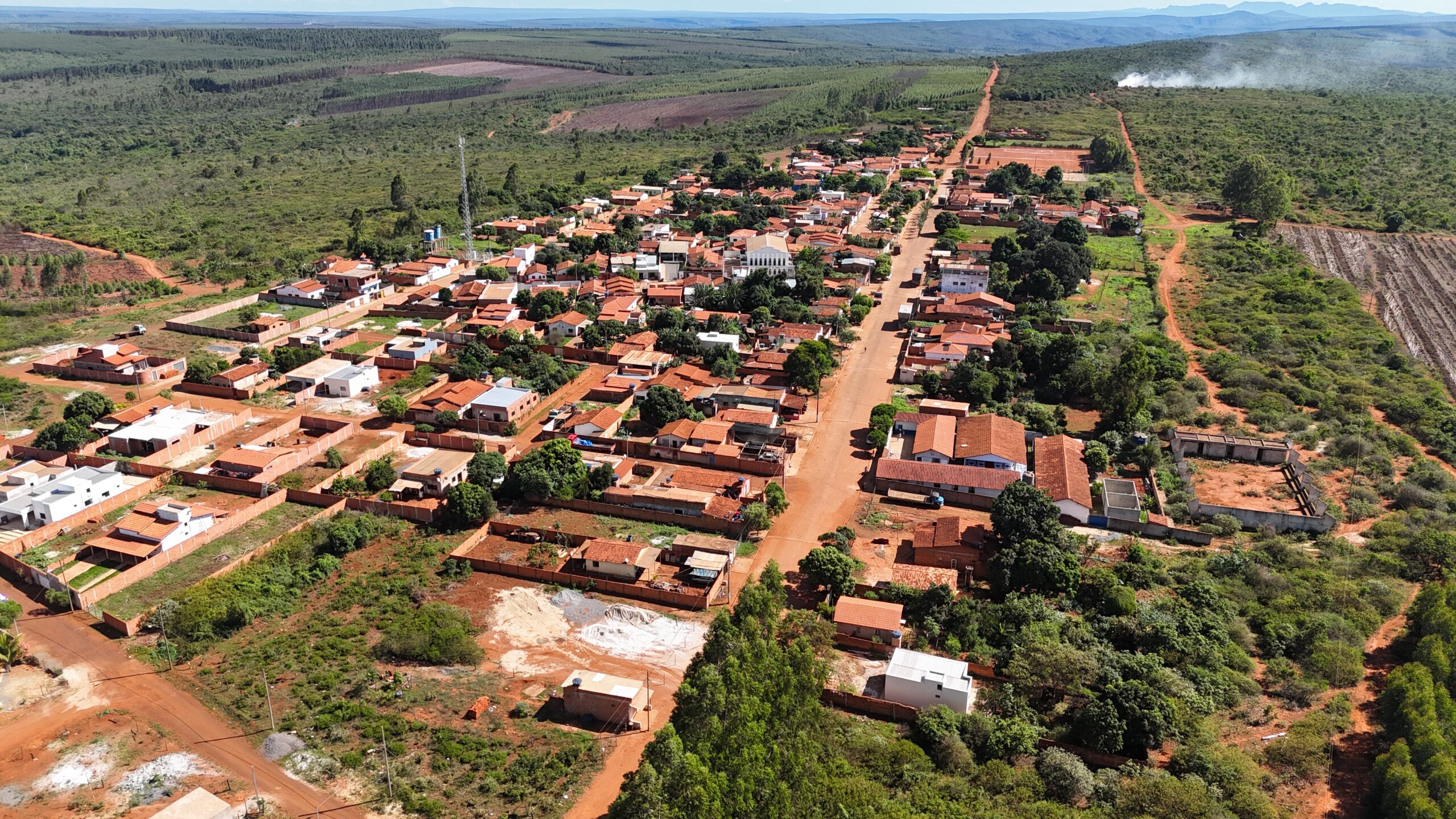 Em meados dos anos 70, ocorreu a implementação de programas de estímulo à monocultura na região do Norte de Minas Gerais.