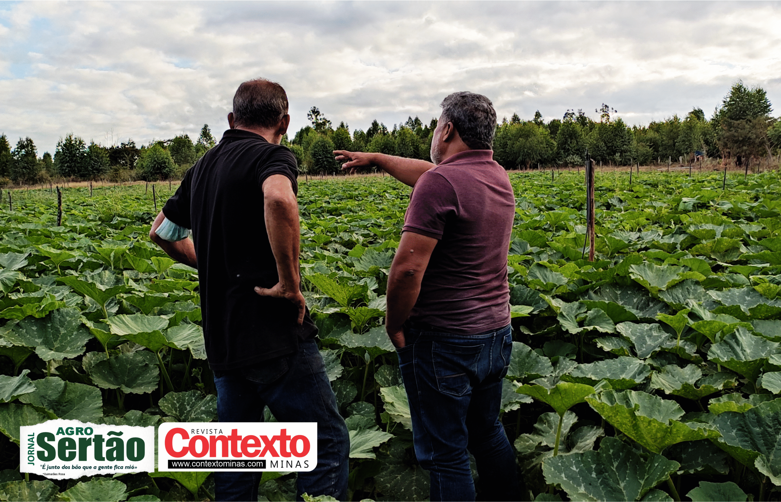 só se concretiza com a valorização do setor produtivo. Não existe avanço social sem base econômica sólida