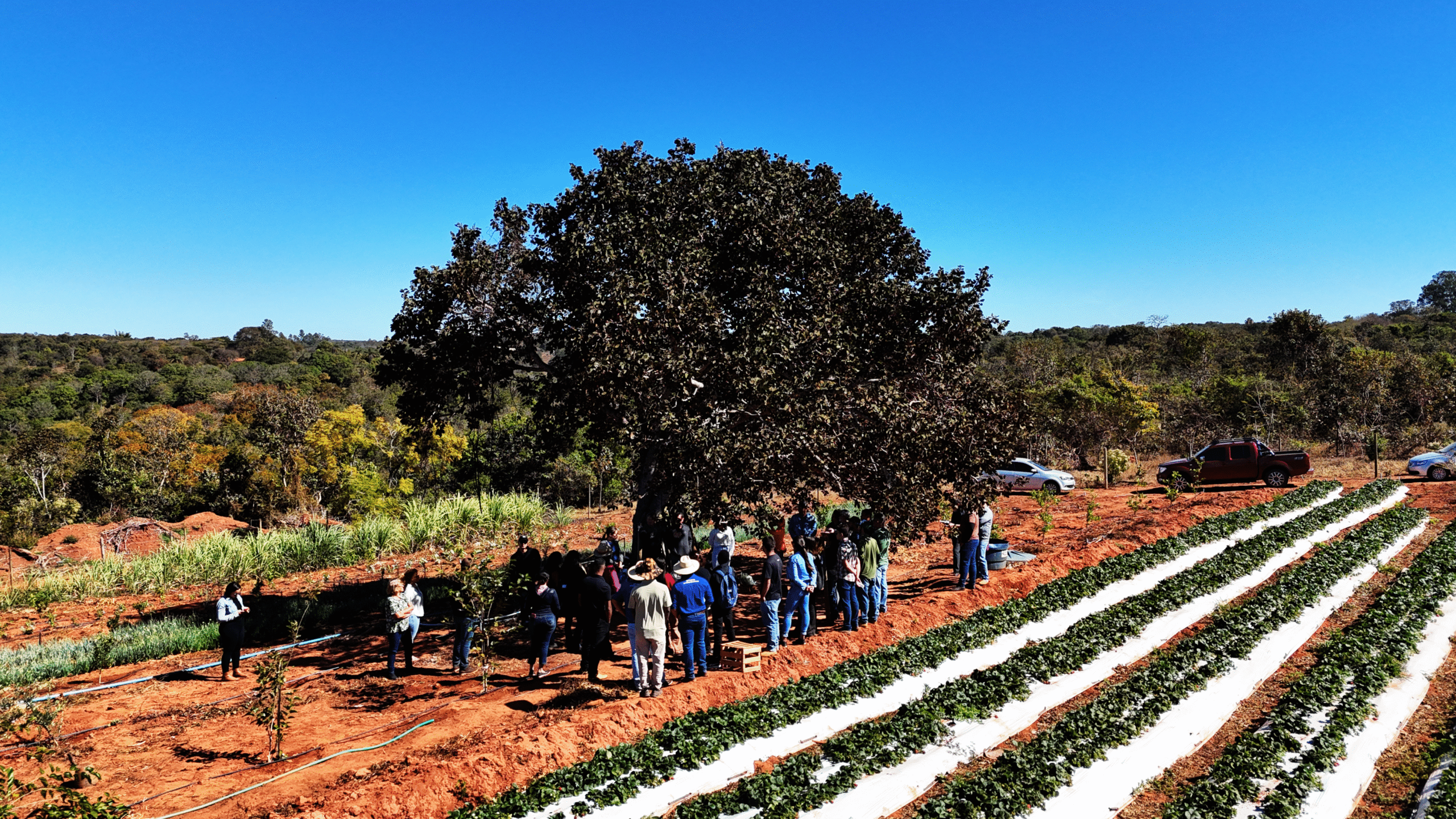 Confesso que saí da Lagoinha com o coração renovado. O brilho no olhar dos participantes daquele dia de campo dizia tudo: o sonho já começou a frutificar. Agora somos três