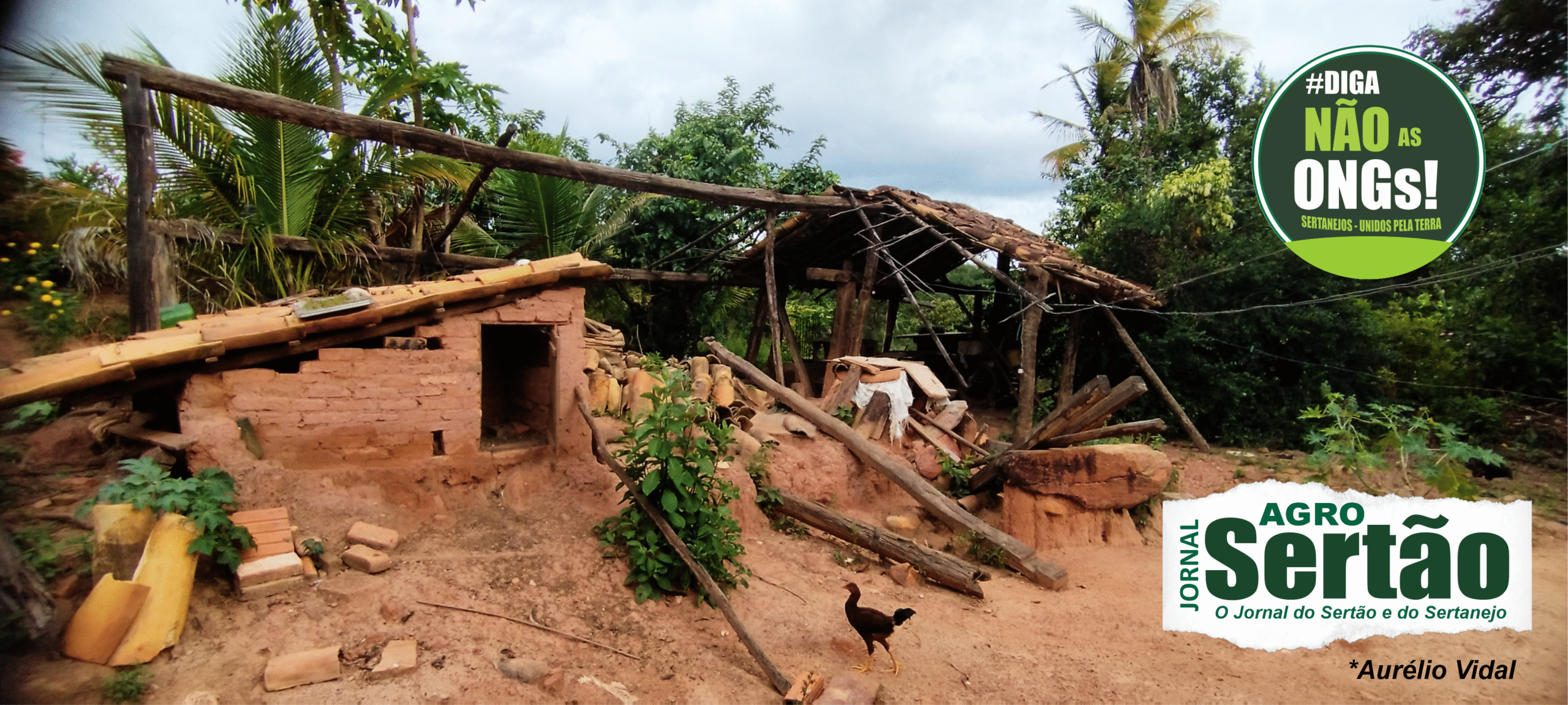 Aqui no sertão, vejo pequenos agricultores sendo tratados como vilões, enquanto grandes empreendimentos seguem livres, leves e soltos. Vejo geraizeiros, vazanteiros, ribeirinhos e quilombolas encurralados por regras forjadas longe daqui, sem diálogo, sem compreensão, sem respeito pelas tradições que mantiveram essas terras vivas por séculos.