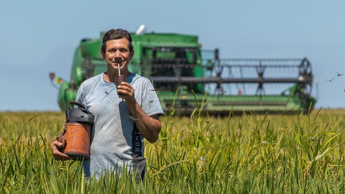 O Paraguai já desponta como o principal destino de brasileiros na América Latina — e o terceiro no mundo. Com educação acessível, custo de vida mais barato e um ambiente de negócios que estimula investimentos, o país tem atraído desde estudantes em busca de oportunidades até empresários e produtores rurais decididos a empreender em solo mais favorável.