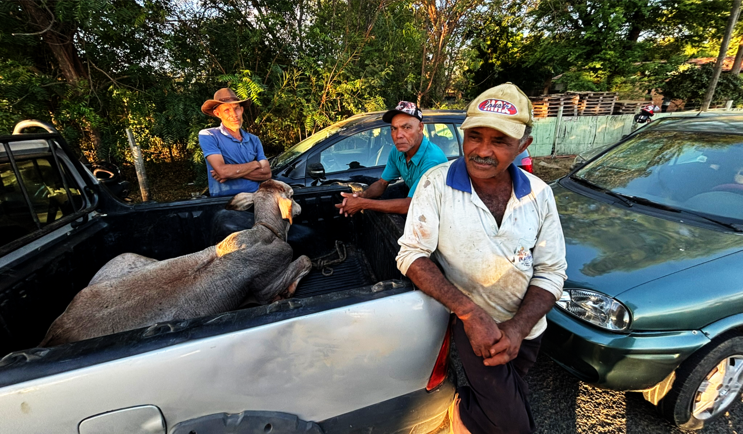 Mais uma vez o povo sertanejo do Norte de Minas está sendo colocado contra a parede por decisões friamente arquitetadas dentro de gabinetes em Brasília, longe da realidade de quem vive da terra, produz alimento e sustenta sua família sob o sol escaldante do semiárido mineiro. O que o Governo Federal tenta vender como “modernização”, “desenvolvimento sustentável” e “avanço econômico” nas Etapas III e IV do Projeto Jaíba é, na prática, mais um capítulo do processo sistemático de enfraquecimento da autonomia do nosso povo.