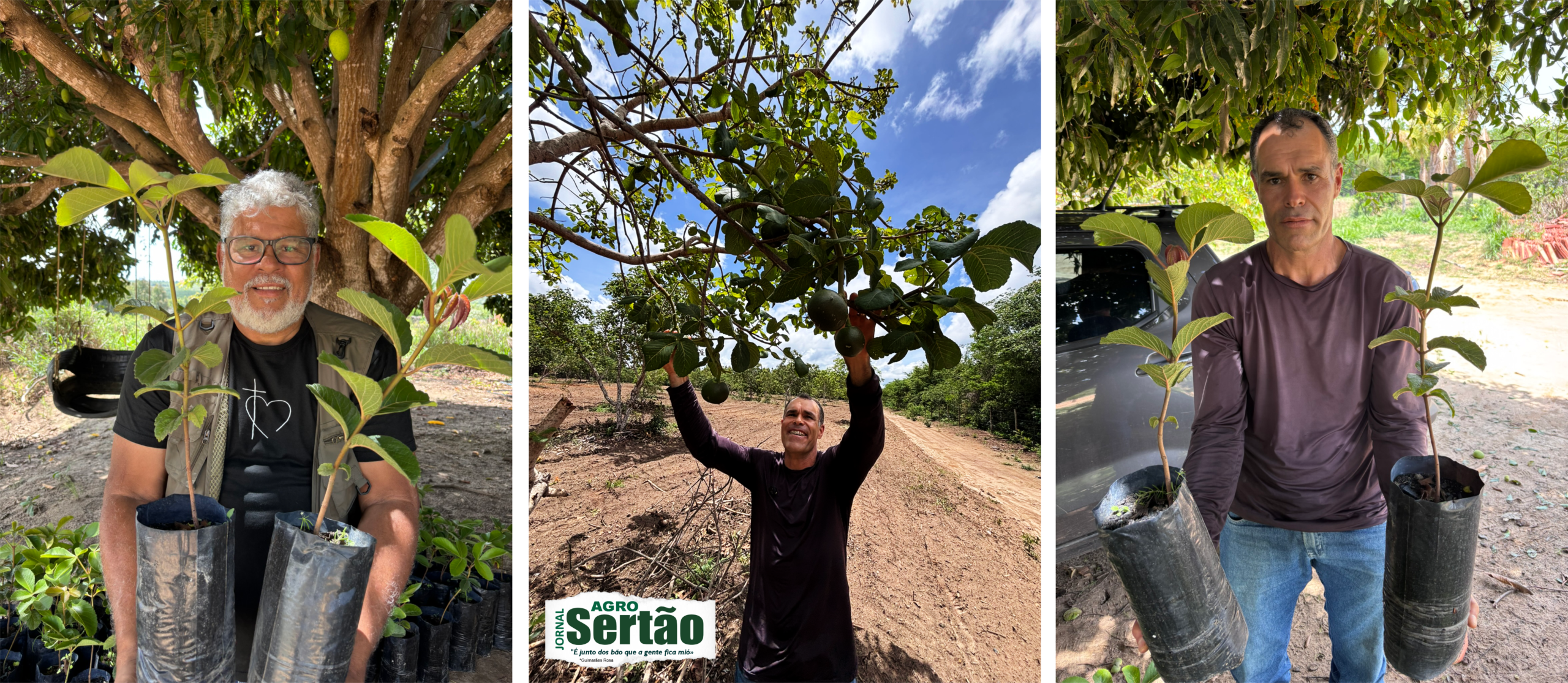A agricultura familiar continua sendo uma das maiores riquezas do Norte de Minas. São milhares de famílias responsáveis por colocar alimento na mesa dos brasileiros, movimentar a economia dos pequenos municípios e manter viva uma tradição que atravessa gerações.
